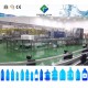 Filling Machine Type and Filling Machine Processing Filling Machine