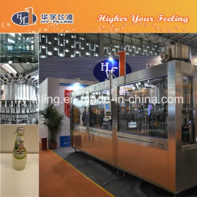 Apple Vinegar Glass Bottle Hot Filling Machine