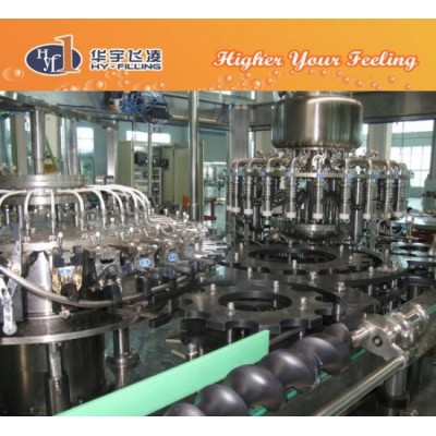 Top Brand Glass Bottle Filling Machine