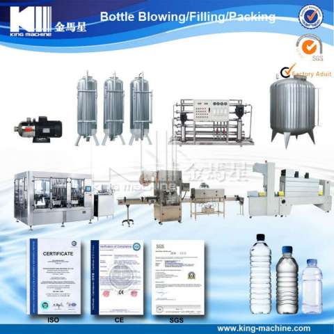 Automatic Plastic Bottle Water Filling Packaging Project